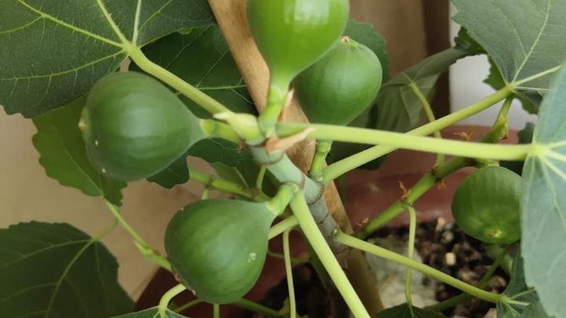 成都办公楼弱电工程：揭秘其重要性及选型要点
