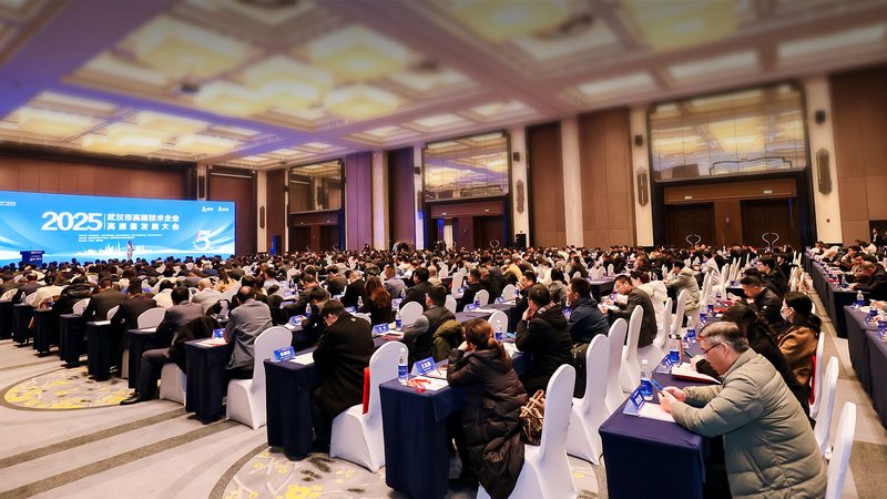 信息技术公司代理条件解析：揭秘服务背后的考量**
